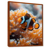 Orange white coral clown fish Marvel - Coral Bedroom Wall Art