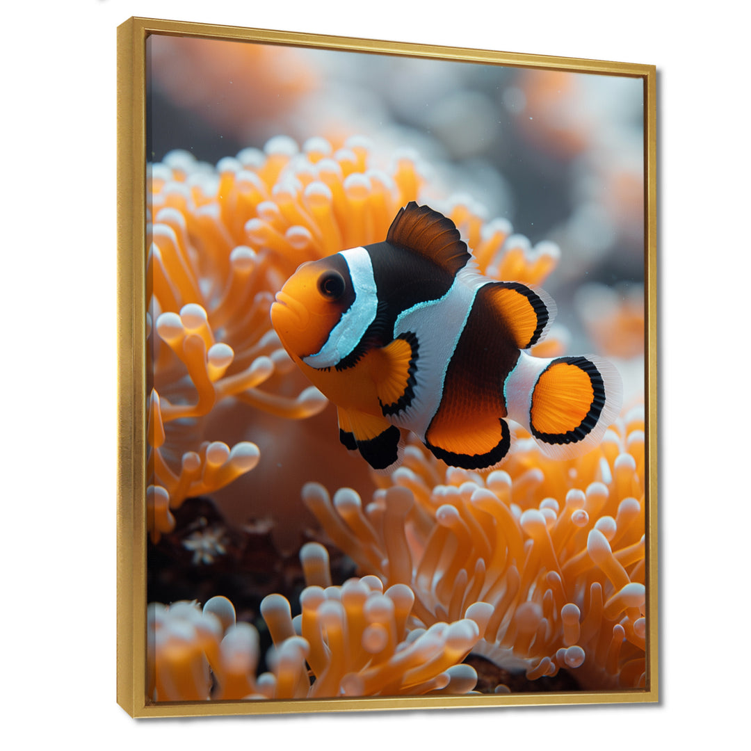 Orange white coral clown fish Marvel - Coral Bedroom Wall Art