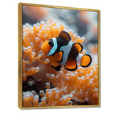 Orange white coral clown fish Marvel - Coral Bedroom Wall Art