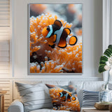 Orange white coral clown fish Marvel - Coral Bedroom Wall Art
