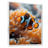 Orange white coral clown fish Marvel - Coral Bedroom Wall Art