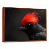 Red Grey Whispers Bird of Paradise - Bird Canvas Wall Art