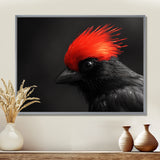 Red Grey Whispers Bird of Paradise - Bird Canvas Wall Art