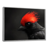 Red Grey Whispers Bird of Paradise - Bird Canvas Wall Art