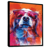 Pink white sunglasses border collie portrait - Dog Wall Art Prints