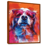 Pink white sunglasses border collie portrait - Dog Wall Art Prints