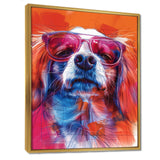 Pink white sunglasses border collie portrait - Dog Wall Art Prints