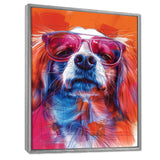 Pink white sunglasses border collie portrait - Dog Wall Art Prints