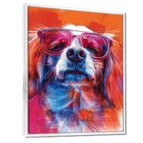 Pink white sunglasses border collie portrait - Dog Wall Art Prints