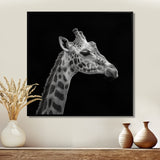 Giraffe profile on black - Gray Giraffe Wall Art