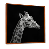 Giraffe profile on black - Gray Giraffe Wall Art