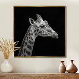 Giraffe profile on black - Gray Giraffe Wall Art