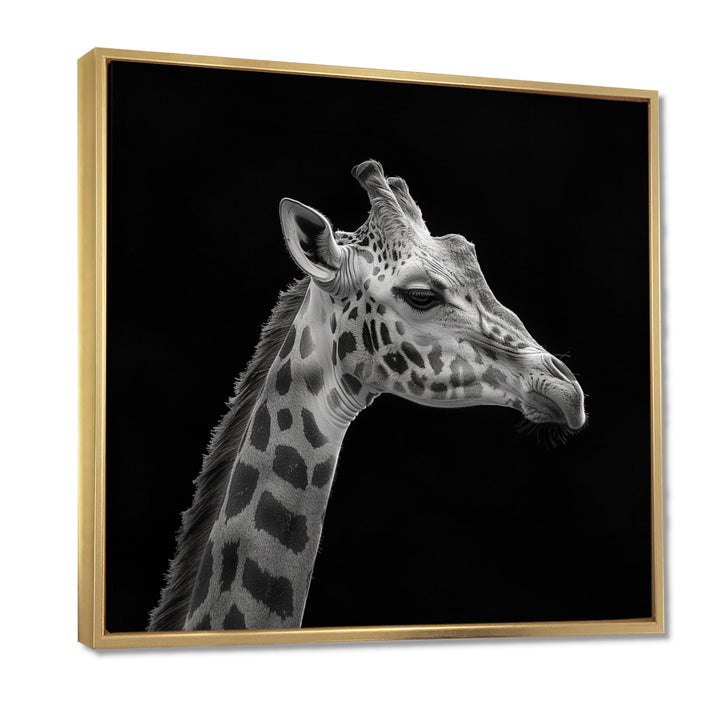 Giraffe profile on black - Gray Giraffe Wall Art