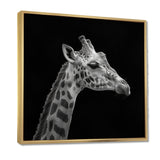 Giraffe profile on black - Gray Giraffe Wall Art