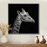 Giraffe profile on black - Gray Giraffe Wall Art