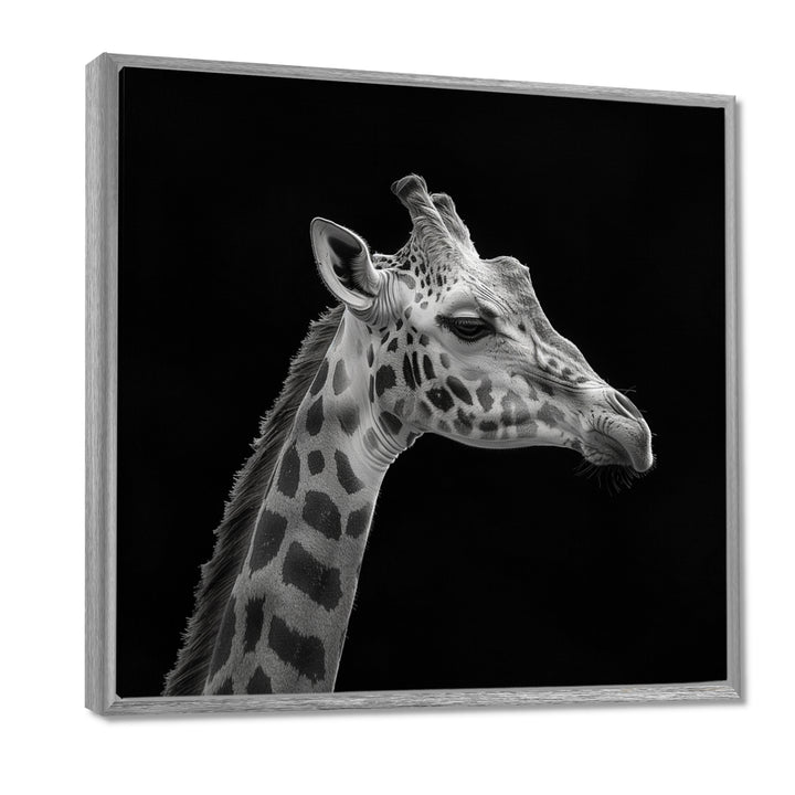 Giraffe profile on black - Gray Giraffe Wall Art