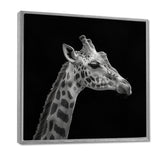 Giraffe profile on black - Gray Giraffe Wall Art
