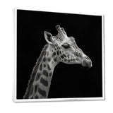Giraffe profile on black - Gray Giraffe Wall Art