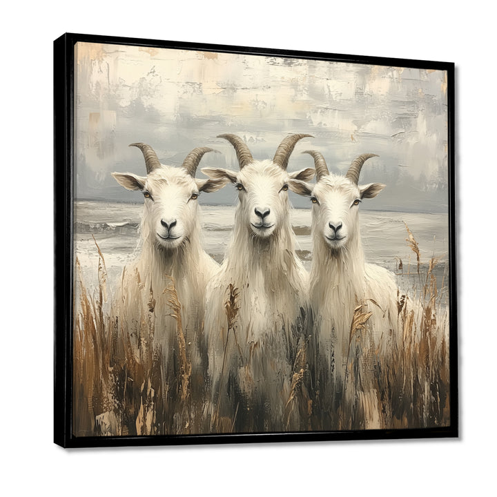 Grey And Brown Minimalism Coastal Goats - Goat Canvas Wall Art