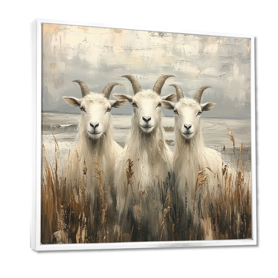 Grey And Brown Minimalism Coastal Goats - Goat Canvas Wall Art