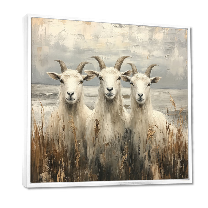 Grey And Brown Minimalism Coastal Goats - Goat Canvas Wall Art