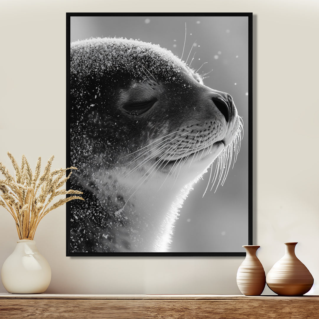 Monochrome Black Seal Accented With Grey - Seal Wall Decor