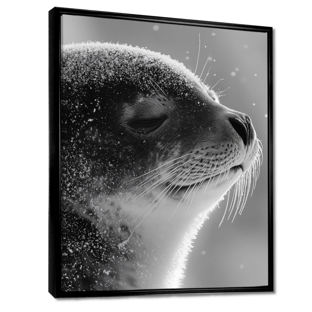 Monochrome Black Seal Accented With Grey - Seal Wall Decor