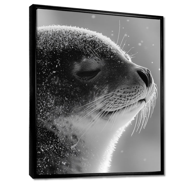 Monochrome Black Seal Accented With Grey - Seal Wall Decor