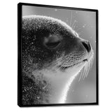 Monochrome Black Seal Accented With Grey - Seal Wall Decor