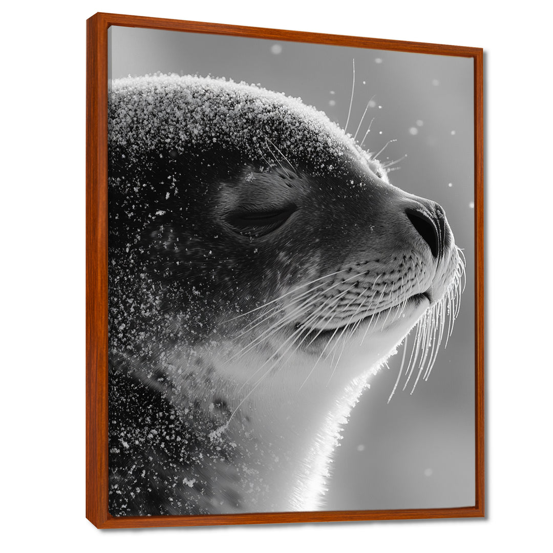 Monochrome Black Seal Accented With Grey - Seal Wall Decor