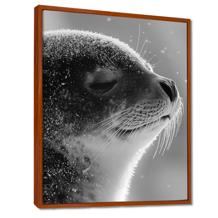 Monochrome Black Seal Accented With Grey - Seal Wall Decor