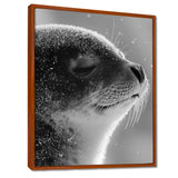 Monochrome Black Seal Accented With Grey - Seal Wall Decor