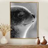 Monochrome Black Seal Accented With Grey - Seal Wall Decor