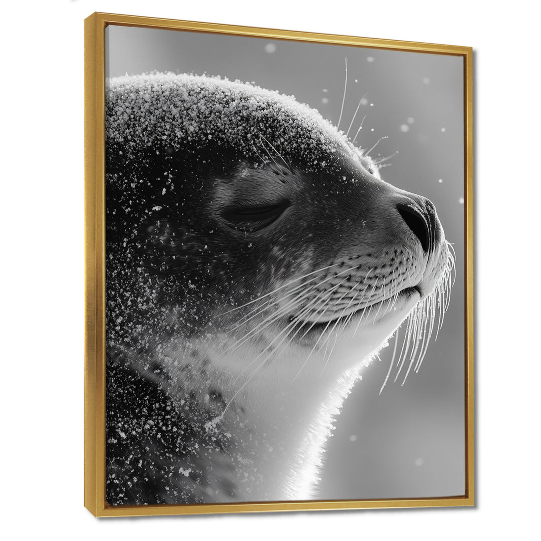 Monochrome Black Seal Accented With Grey - Seal Wall Decor
