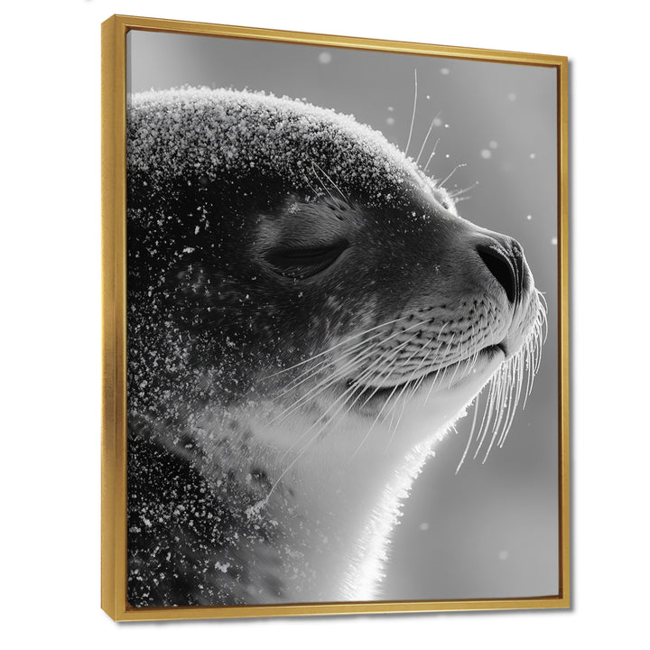 Monochrome Black Seal Accented With Grey - Seal Wall Decor