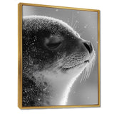 Monochrome Black Seal Accented With Grey - Seal Wall Decor