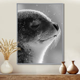Monochrome Black Seal Accented With Grey - Seal Wall Decor
