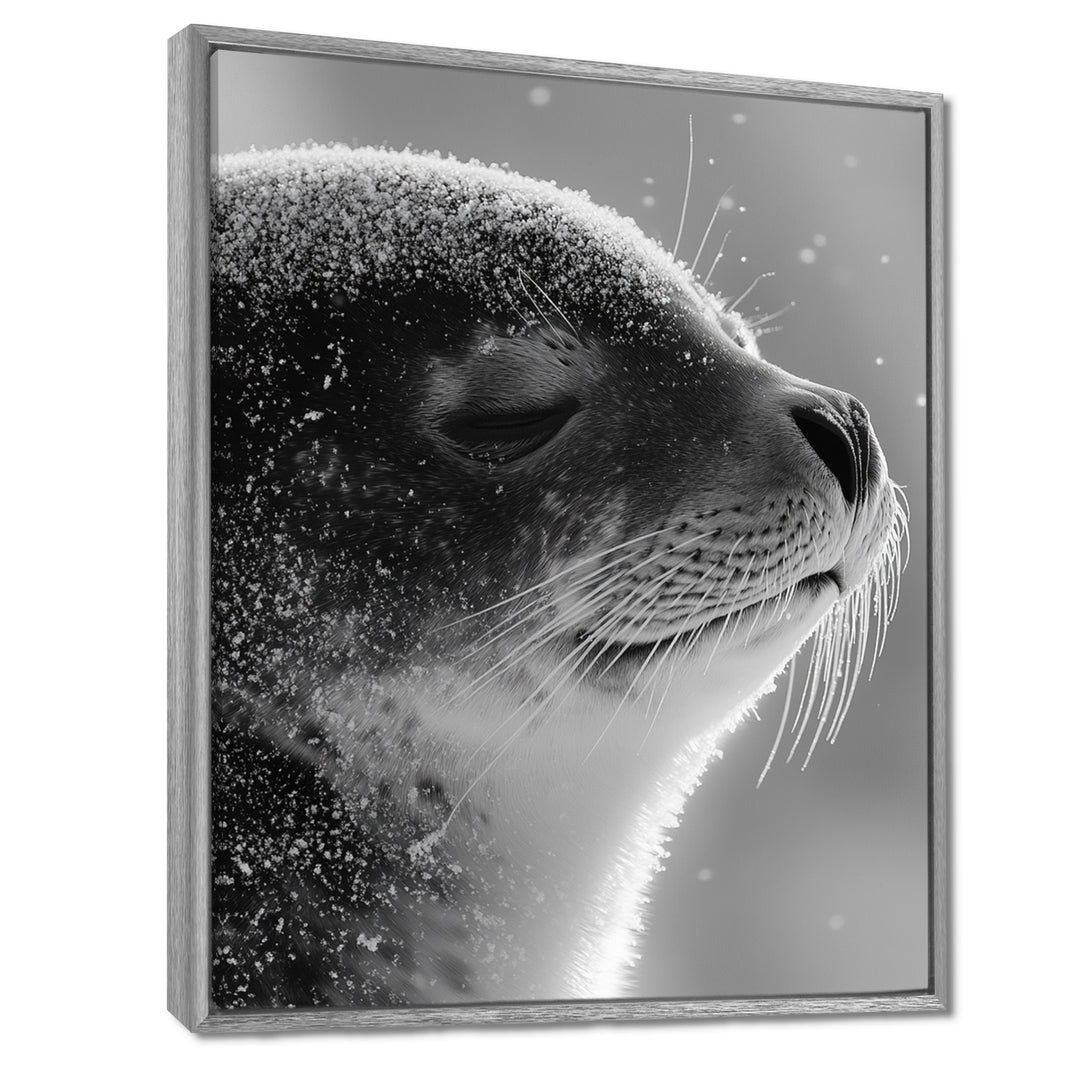 Monochrome Black Seal Accented With Grey - Seal Wall Decor
