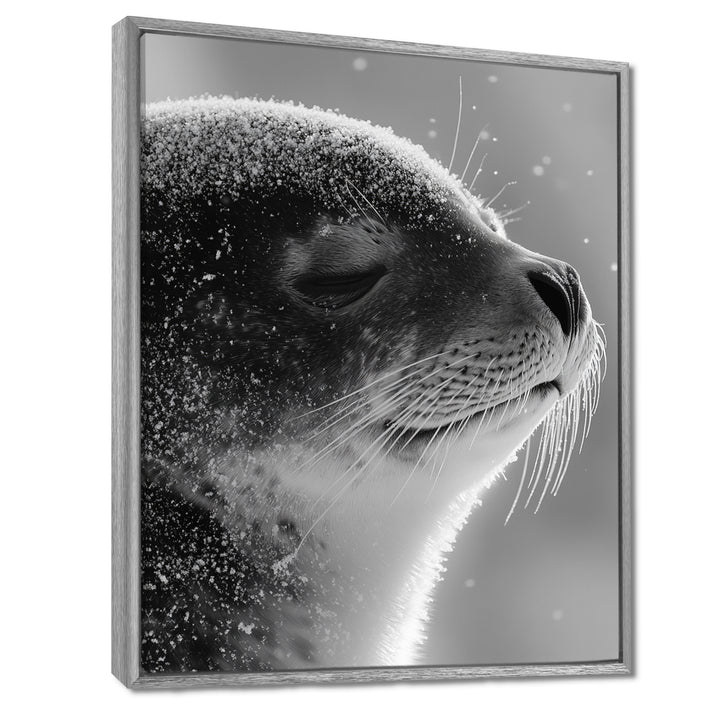 Monochrome Black Seal Accented With Grey - Seal Wall Decor