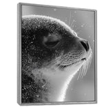 Monochrome Black Seal Accented With Grey - Seal Wall Decor
