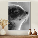 Monochrome Black Seal Accented With Grey - Seal Wall Decor
