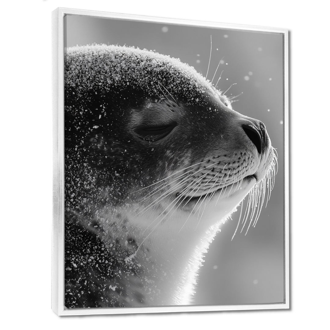 Monochrome Black Seal Accented With Grey - Seal Wall Decor