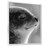 Monochrome Black Seal Accented With Grey - Seal Wall Decor