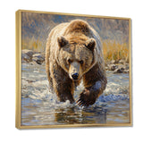 Grizzly By The River In Canada - Bear Living Room Wall Art