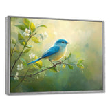 Bluebird In The Early Spring - Bird Canvas Wall Art