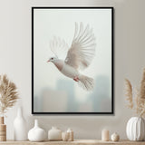 Columbidae Dove In The Urban Sky - Dove Home Decor Art
