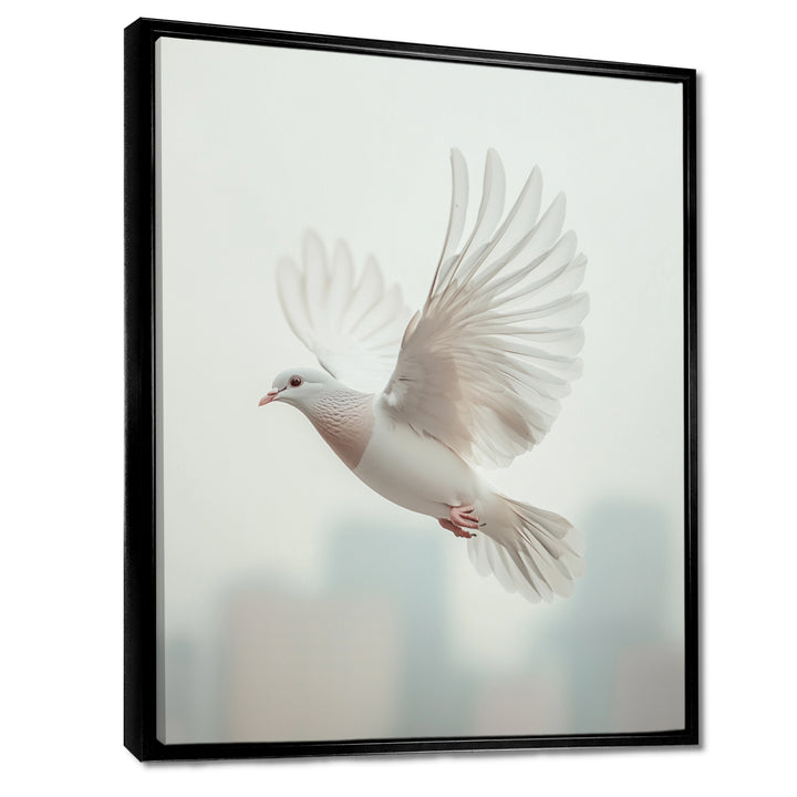 Columbidae Dove In The Urban Sky - Dove Home Decor Art