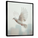 Columbidae Dove In The Urban Sky - Dove Home Decor Art