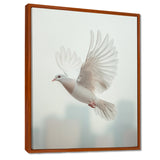 Columbidae Dove In The Urban Sky - Dove Home Decor Art