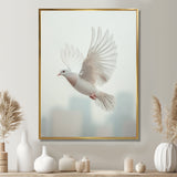 Columbidae Dove In The Urban Sky - Dove Home Decor Art